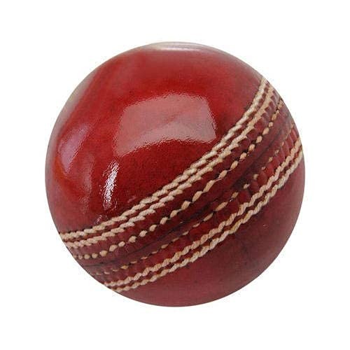 JTC Leather Hanging Practice Cricket Ball Standard Size Leather Cricket Ball 1 Piece, (Red)
